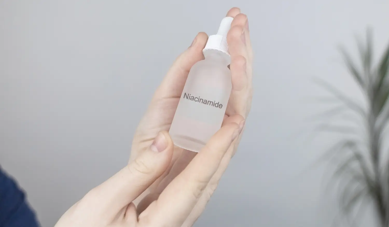 fungsi niacinamide dalam skincare