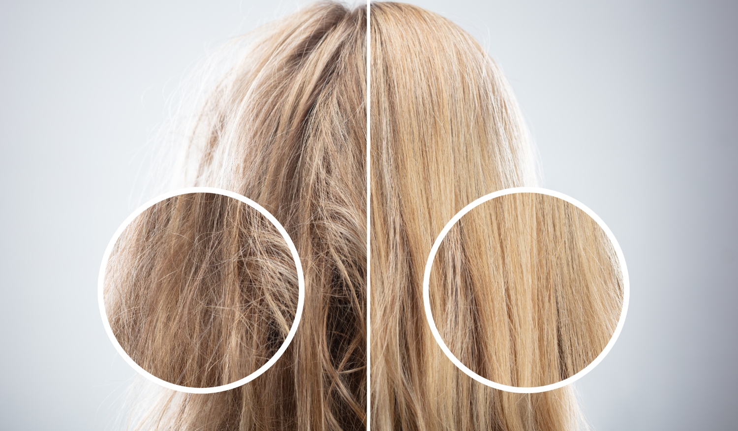 haircare rambut bewarna