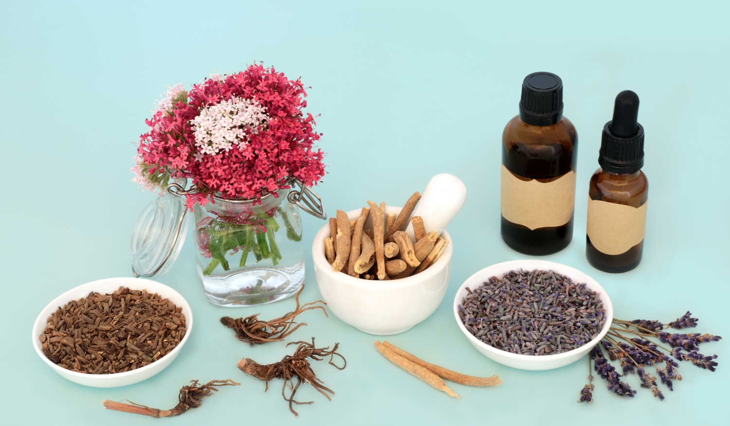 manfaat adaptogen